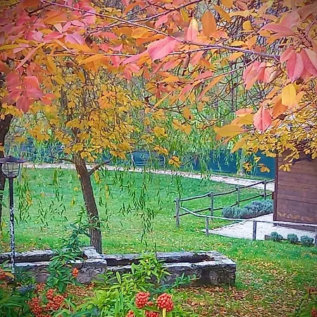 Vacanze Il Daino Chalet *
